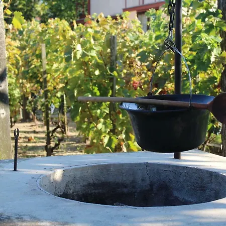 Semesterbostad Agnes' Vineyard